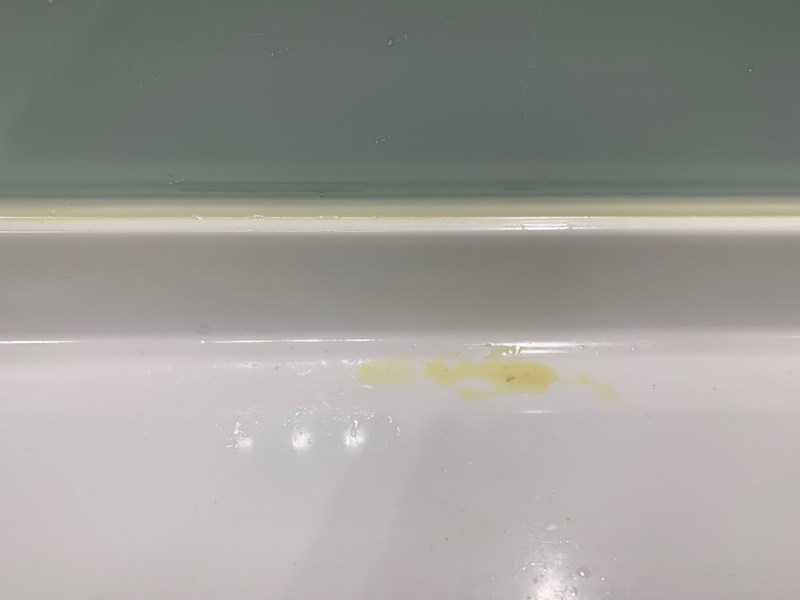 試用